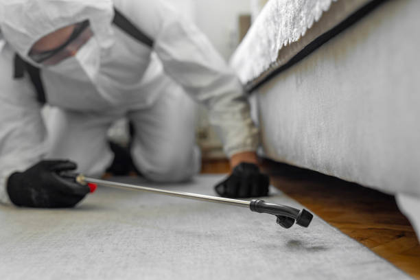 Professional Bed Bug Control technician working in Frostproof, FL